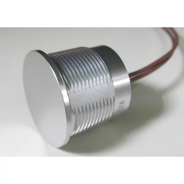 Interruptor piezoeléctrico de acero inoxidable 200 mA 24V DC - 1 -