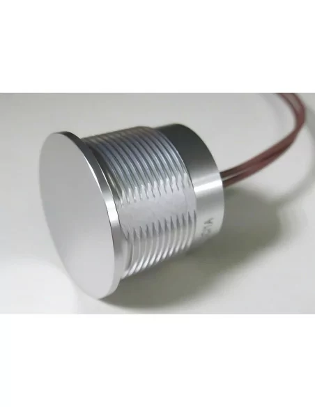 Piezoelectric stainless steel switch 200 mA 24V DC - 1 -