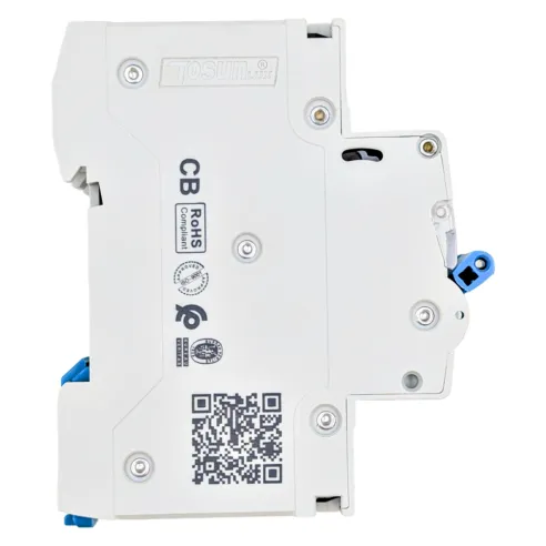 Interruptor Magnetotérmico Curva C de 10 a 63A 10kA