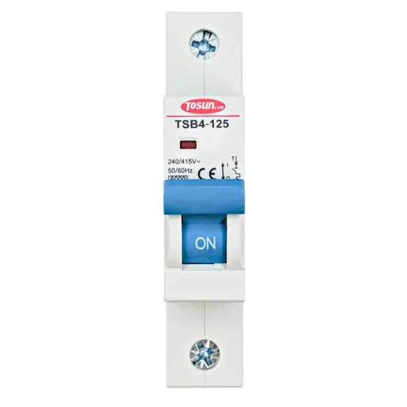Disjoncteur de grande capacité 80A, 100A, 125A | Swimhome