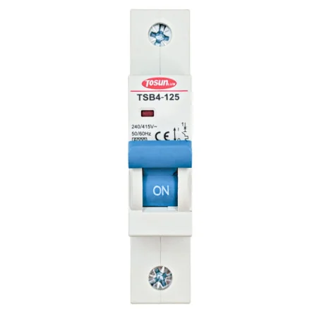 Disjoncteur de grande capacité 80A, 100A, 125A | Swimhome