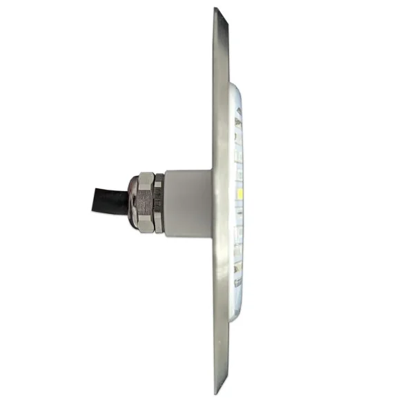Warm White Stainless Steel LED Pool Light | 6W 12V AC