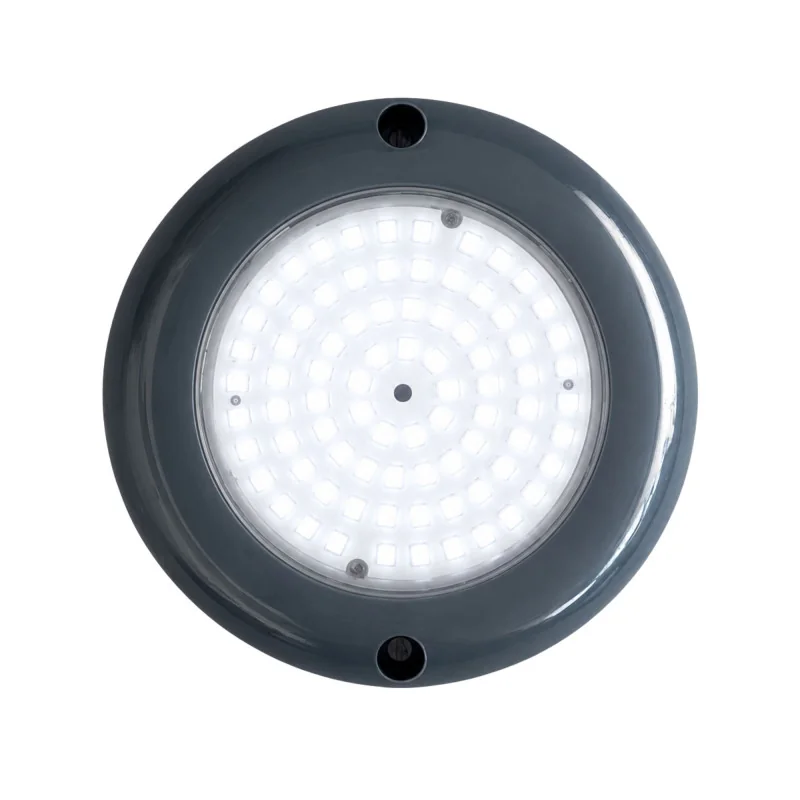 Mini Projecteur LED Piscine Surface 6W 12V AC Blanc Froid 6000K