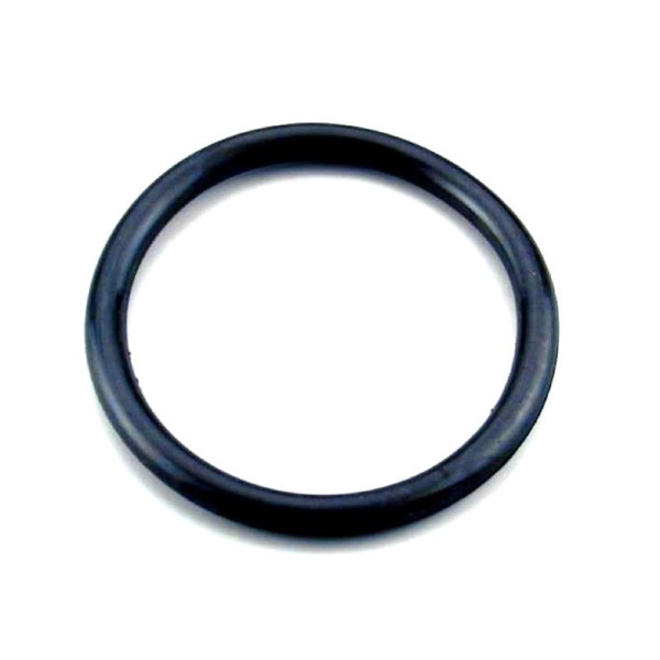 O-ring para projector AstralPool