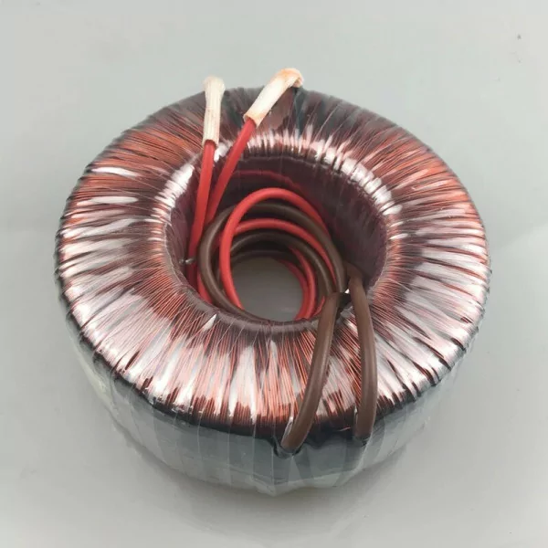 Transformador toroidal 12V AC 50W